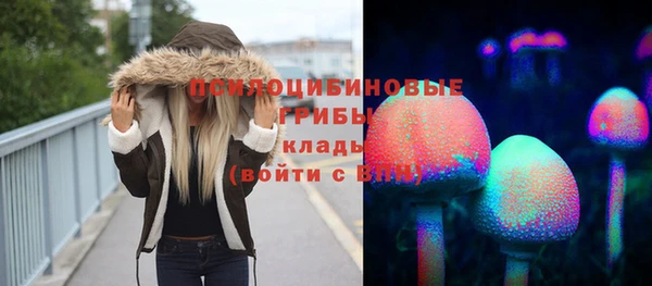 ешки Волосово