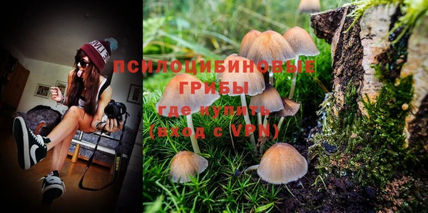 дживик Вязники